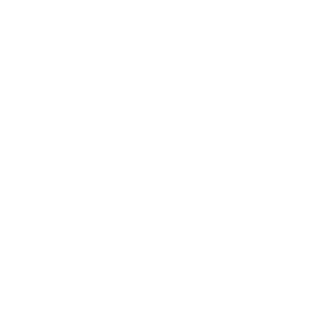WordPress Customization