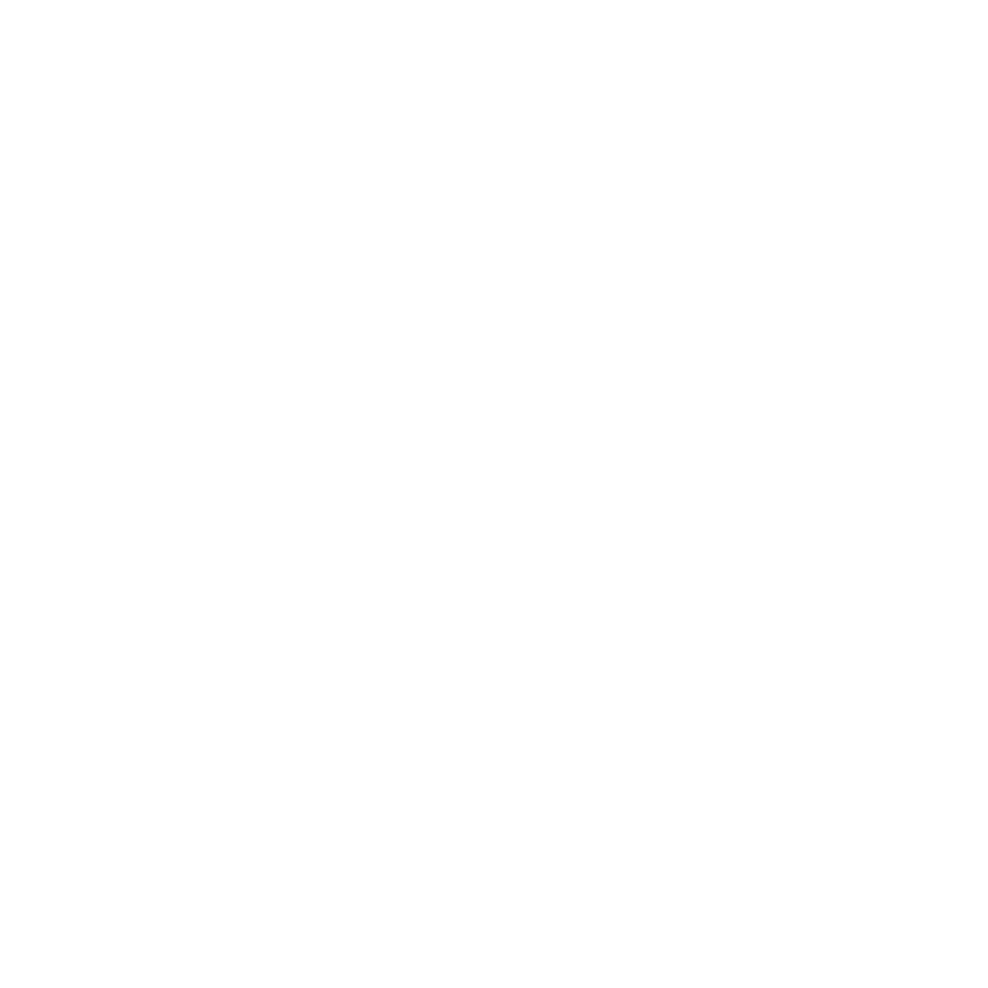 Virtual Assistant